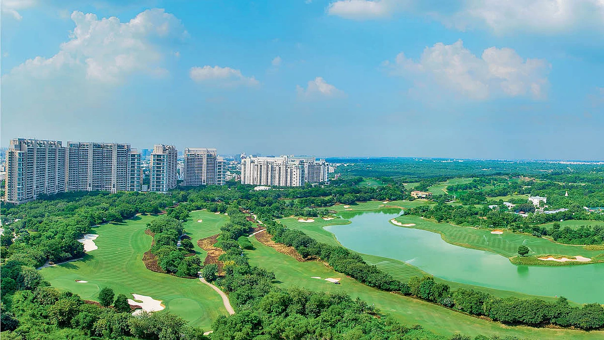 the aralias & the magnolias